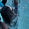 Profilbild von えみ❁⃘*.゚