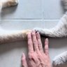 Фото профиля ≽^•༚•🎀≼อุนย่าพิซาร์&เต้จิ๋ว🐱ྀི ⋆🐾° ᡣ𐭩