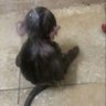 Istda's profile picture