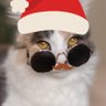 EdnarL.'s profile picture