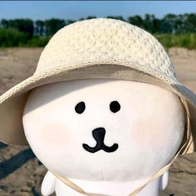 guhuiyangluofu's profile picture