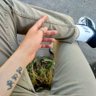 Profilbild von ★Príncipe Pálido★