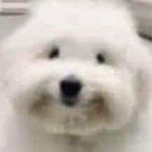 cyborg7700's profile picture