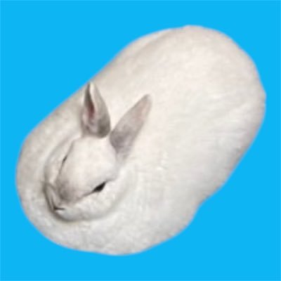 月に行ってしまった🌕エントリーNo.46 うさぎのしろちゃんぴー🇯🇵's profile picture
