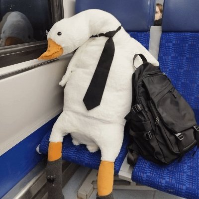今夜早点睡's profile picture
