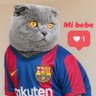 Mile💙❤️'s profile picture