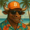 Profilbild von ₿TC_HODL