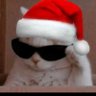 Auro Rodriguez's profile picture