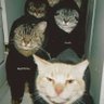 ؟! profil fotoğrafı