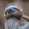Isiaka profil fotoğrafı