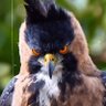 Douglaz profil fotoğrafı