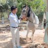 डॉ.दिनेश कुमार मौर्या देव profil fotoğrafı