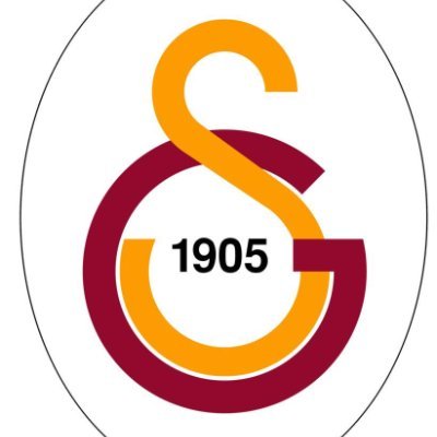 Galatasaray Profesyonel Branşlar's profile picture