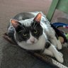 Profilbild von Eartha