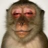 sugon's profile picture