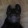 mluke's profile picture