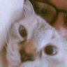 lix🌼 profil fotoğrafı