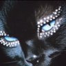 Profilbild von Ghost