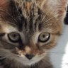 🏴 Kicky 🏴 profil fotoğrafı