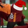 Behçat Z. ⭐️⭐️⭐️⭐️⭐️ profil fotoğrafı