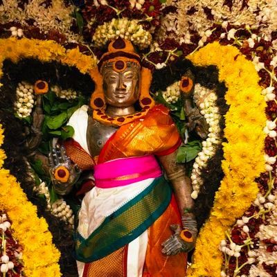 jkvoffl's profile picture