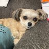 遊楽斎 profil fotoğrafı