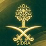 ༻.᯽. ₛᵢDᵣₐ 🍃سِـدْرَة .᯽.༺'s profile picture