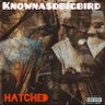 knownasdbigbird's profile picture