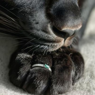 MAsweri's profile picture