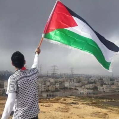 Dav45290381's profile picture