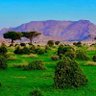 عبدالرحمن الصقر's profile picture