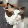 Profilbild von Samson Z