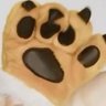 kotora 的头像