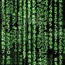 Фото профиля data