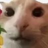 Profilbild von skippy