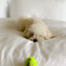 Life is a Ball's profile picture