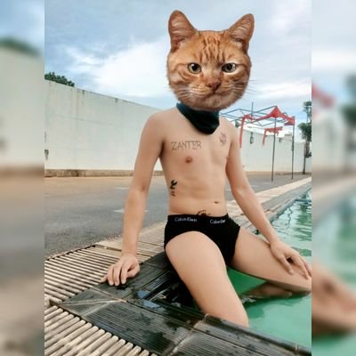 PotMb23's profile picture