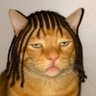 tomaFOX🦊🍅 profil fotoğrafı