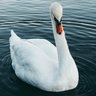 linda 林达 互关 profil fotoğrafı