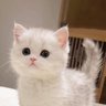 やまっちょ 的头像