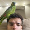 TheWise's profile picture