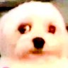 Profilbild von lucas