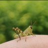 Ronce_Er5 profil fotoğrafı
