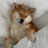 Profilbild von 小KK