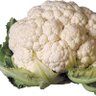 aloo ghobi 的头像