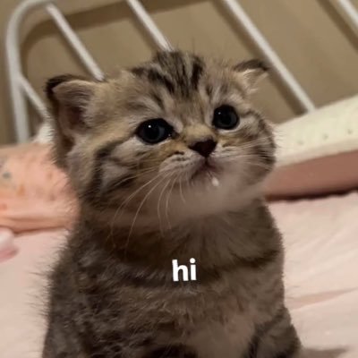 itsMartC_Orange's profile picture