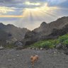Фото профиля Jorge Diondo