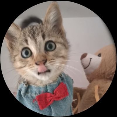 Engelsizpatilereyuva 🐾's profile picture