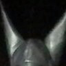 Profilbild von NygguhCarti