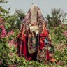 Фото профиля A Supreme